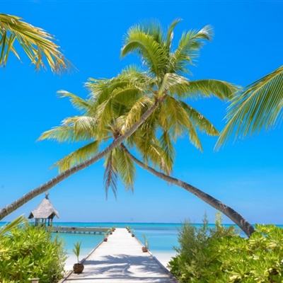 手机最快开奖结果截图