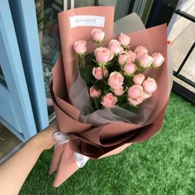 手机最快开奖结果